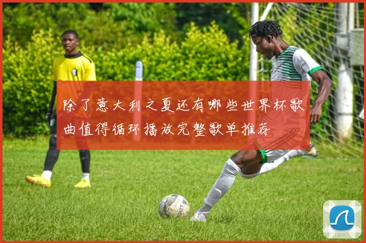 除了意大利之夏还有哪些世界杯歌曲值得循环播放完整歌单推荐