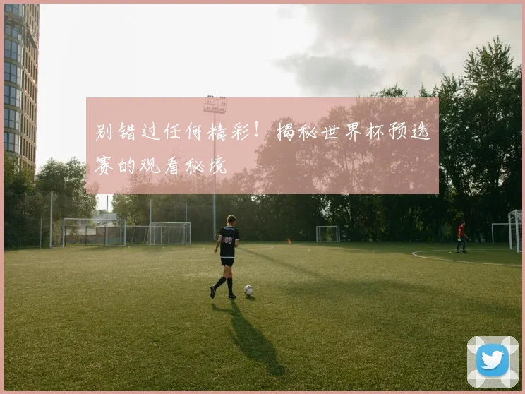 别错过任何精彩！揭秘世界杯预选赛的观看秘境