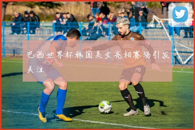 巴西世界杯韩国美女亮相赛场引发关注
